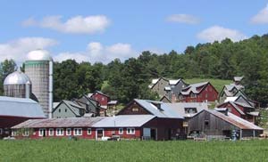 Residents at Cobb Hill Cohousing in Hartland, Vermont, devote 10 hours a week to sustaining the community. Some members work full time on the farm, which produces vegetables, cheese, eggs and maple syrup.